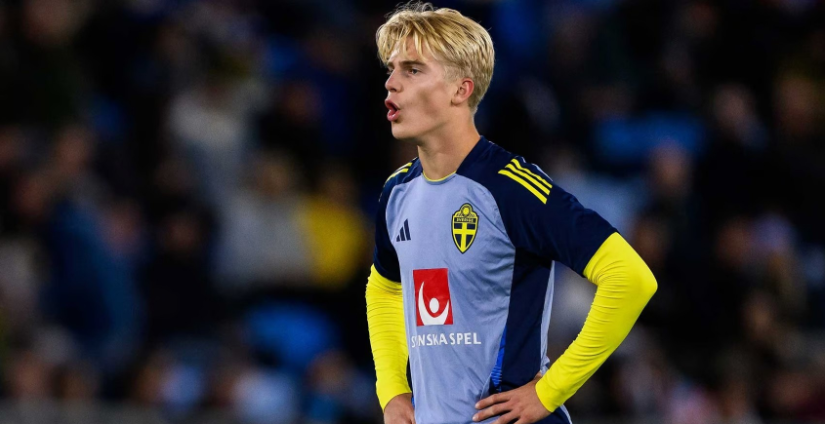 带来不小的 带来不小的