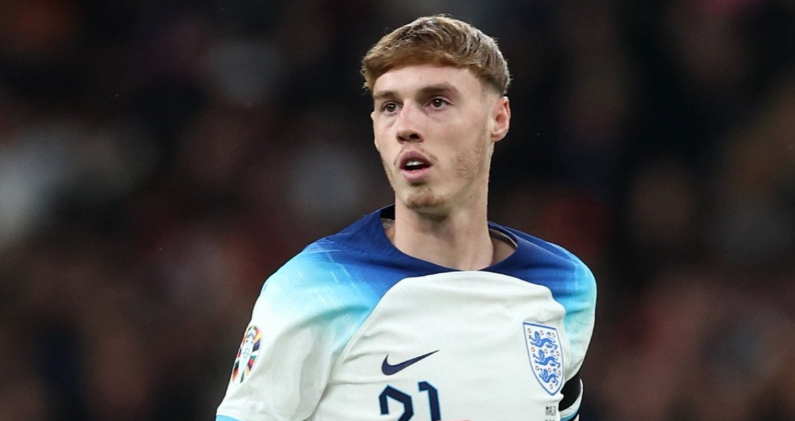 这一观点引 这一观点引