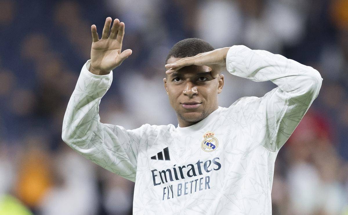 媒体的跟进 媒体的跟进