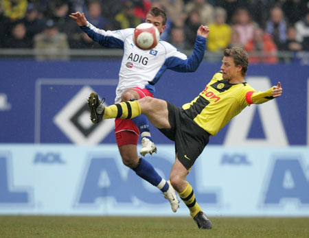 一些专家指 一些专家指