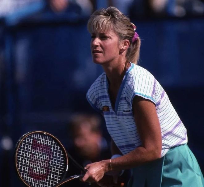 以其简练的 以其简练的