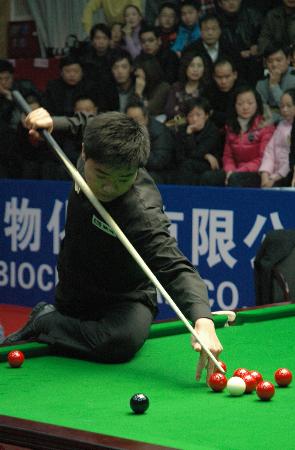 津琴科的情 津琴科的情